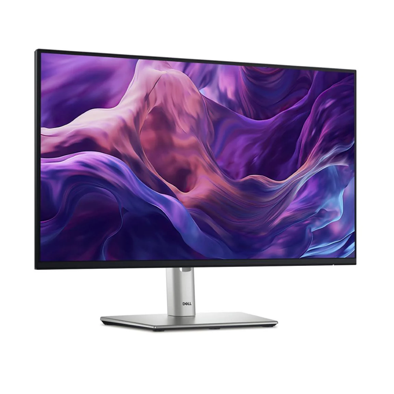 Dell P2425H 23.8-inch Full HD Monitor - Silver