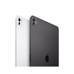 Apple iPad Pro M5 11-inch WiFi e-SIM 256GB - Space Black - Black