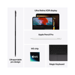 Apple iPad Pro M5 13-inch WiFi e-SIM 256GB - Space Black - Black