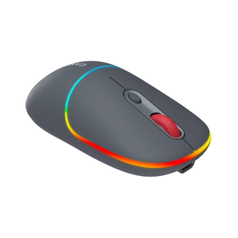Canyon Mouse MW-22 2in1 Bluetooth Wireless - Dark Grey