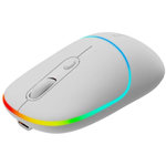 Canyon Mouse MW-22 2in1 Bluetooth Wireless - Snow White