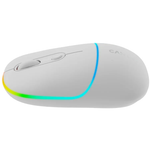 Canyon Mouse MW-22 2in1 Bluetooth Wireless - Snow White