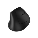 Canyon Mouse MW-25 Ergonomic LED AA Dual mode Wireless - Black