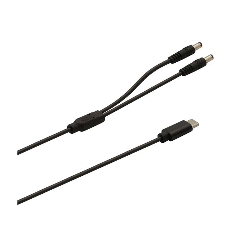 Intouch USB C to Double Y DC Power Cable - Black - Black