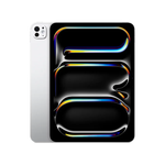 Apple iPad Pro M5 11-inch Wi-Fi 256GB With Standard Glass - Silver