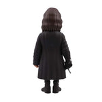Minix: Lord Of The Rings - Aragorn