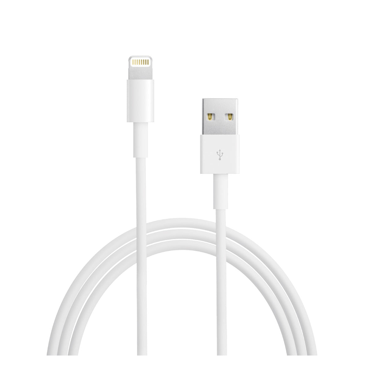 Apple Lightning to USB Cable (1m)