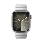 Apple 38mm Link Bracelet - Silver