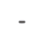 Apple USB-C to USB Adapter - White