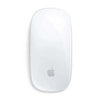 Apple Magic Mouse (USB‚Äö√Ñ√´C) with Multi-Touch Surface - White