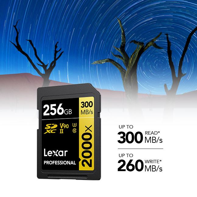 Lexar_SD_Professional_64GB_Memory_Card_sold_by_Technomobi_1